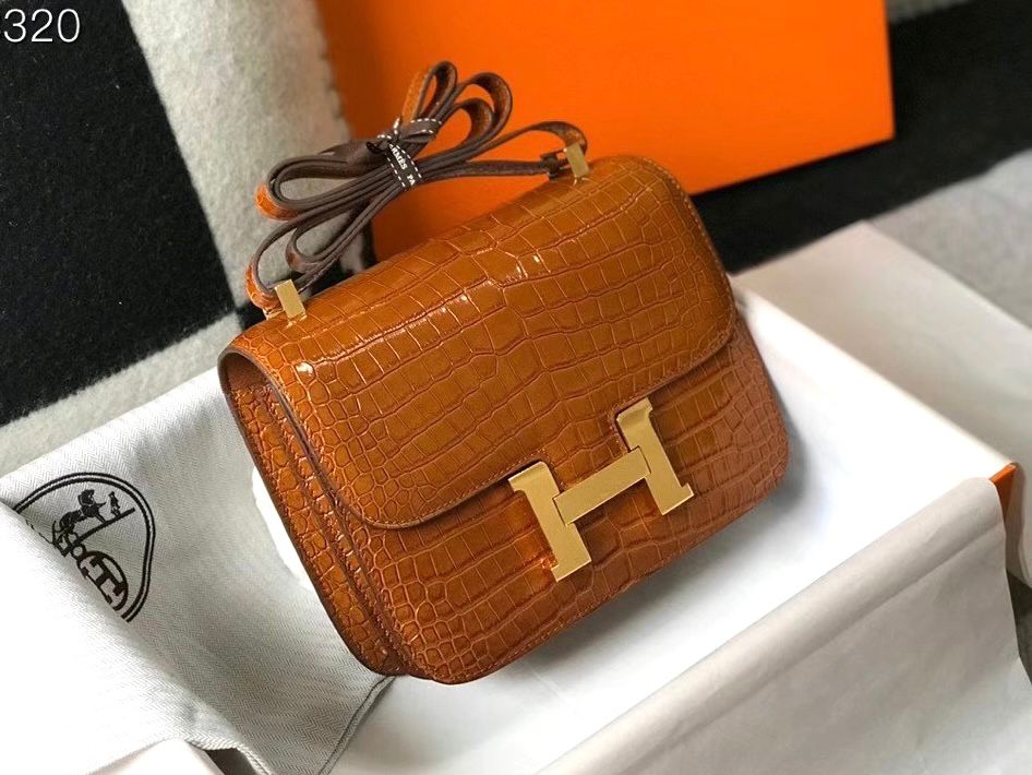 Herm?s Constance bag in a brown or gold crocodile/alligator material with gold-tone hardware. image 1